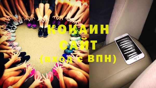 гидра Новодвинск