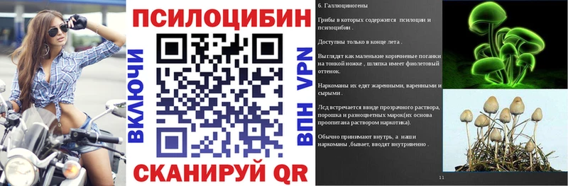Псилоцибиновые грибы Psilocybe  Тобольск 